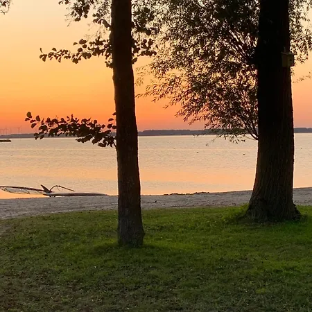 Traumurlaub Mit Hund Am Veluwemeer *