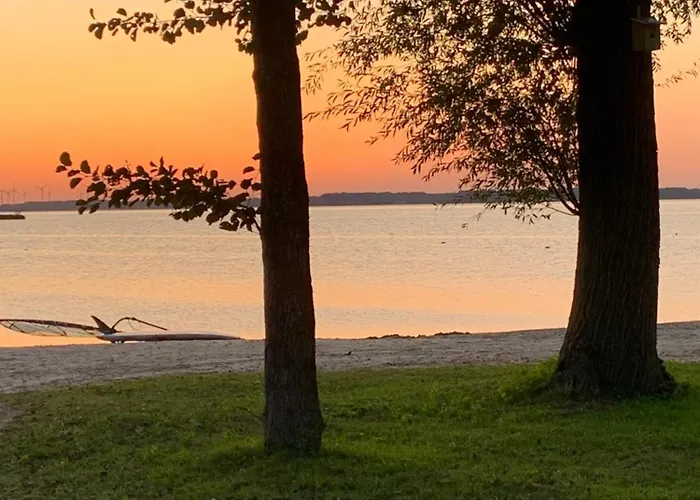 Traumurlaub Mit Hund Am Veluwemeer *