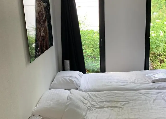 Traumurlaub Mit Hund Am Veluwemeer Holiday park Hulshorst